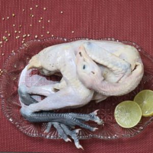 Ayam Kampung 0.6-0.7 kg/ekor