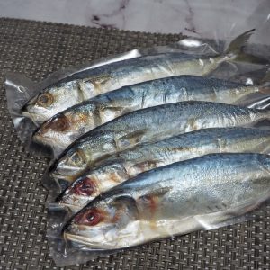 Ikan Kembung isi 5
