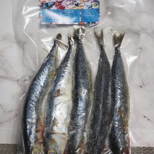 Ikan Salem isi 5