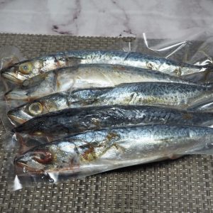 Ikan Salem isi 5